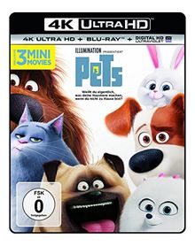 Pets  (4K Ultra HD) (+ Blu-ray)