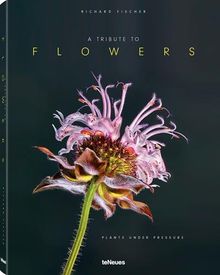 A tribute to flowers : plants under pressure