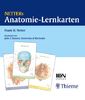 Netters Anatomie-Lernkarten