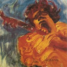 Concerts von Jimi Hendrix | CD | Zustand sehr gut