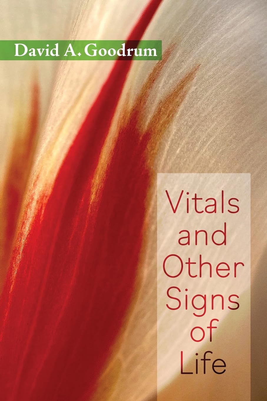 Oelder Buchhandlung – Lange Str, 59302 Oelde