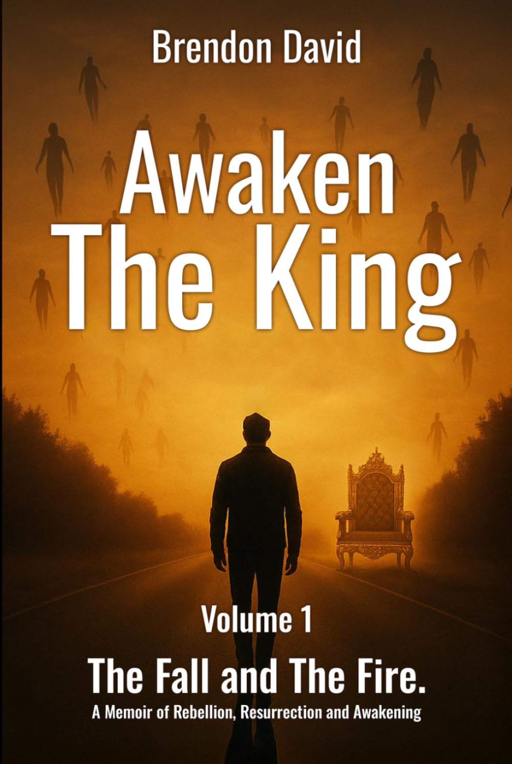 Awaken the King: Volume 1 The Fall and The Fire. A Memoir of Rebellion, Resurrection and Awakening