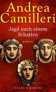 Jagd nach einem Schatten: Roman