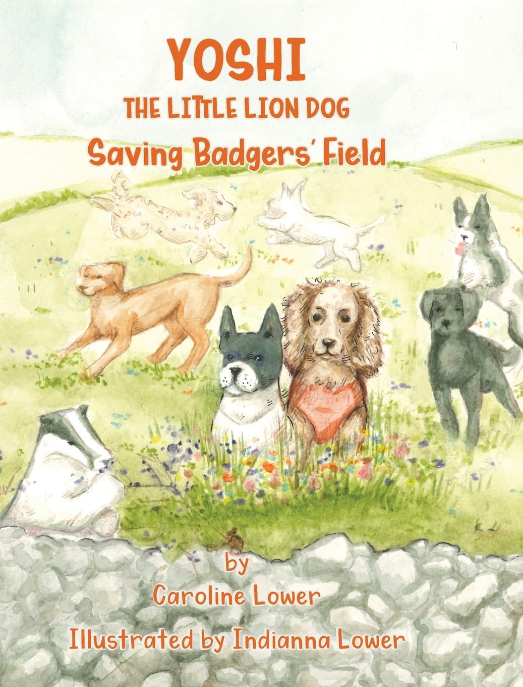 YOSHI: Saving Badgers' Field