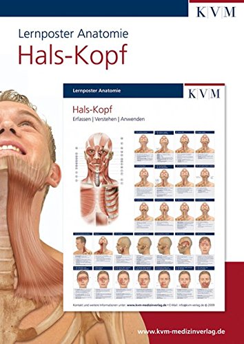 Anatomie Mini-Poster „Muskulatur Der Wirbelsäule Produktbild-Vorschau 6