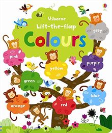 Lift the Flap Colours Book