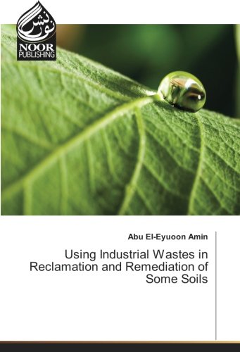 Using Industrial Wastes in Reclamation and Remediation of Some Soils