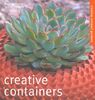 Creative Containers: Creating Compact Gardens: Inventive Ideas for Pots, Windowboxes and Hanging Baskets