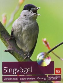 Singvögel: Vorkommen, Lebensweise, Gesang