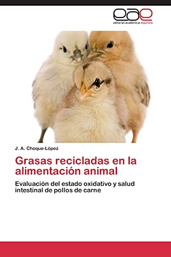 Grasas recicladas en la alimentación animal: Evaluación del estado oxidativo y salud intestinal de pollos de carne