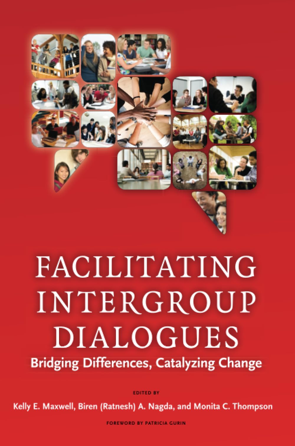 Facilitating Intergroup Dialogues: Bridging Differences, Catalyzing Change (Acpa Co-Publication)