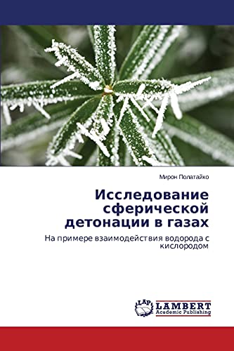 Issledovanie sfericheskoy detonatsii v gazakh: Na primere vzaimodeystviya vodoroda s kislorodom: Na primere wzaimodejstwiq wodoroda s kislorodom