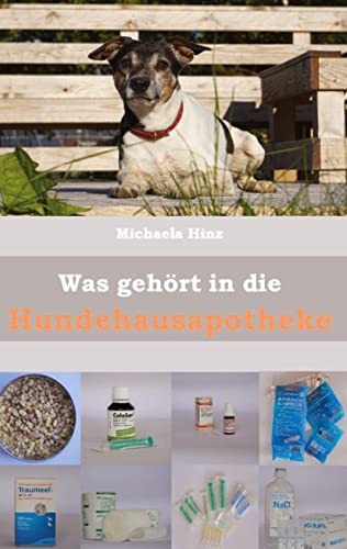 Was gehört in die Hundehausaportheke: Erste Hilfe Mittel zur schnellen Hilfe im Notfall