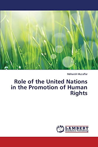 Role of the United Nations in the Promotion of Human Rights