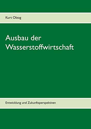 Ausbau der Wasserstoffwirtschaft: Entwicklung und Zukunftsperspektiven