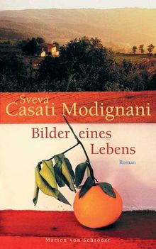 Bilder eines Lebens: Roman