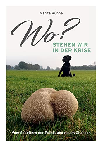 Wo? stehen wir in der Krise: Vom Scheitern der Politik und neuen Chancen