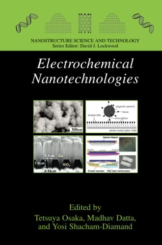 Electrochemical Nanotechnologies (Nanostructure Science and Technology)