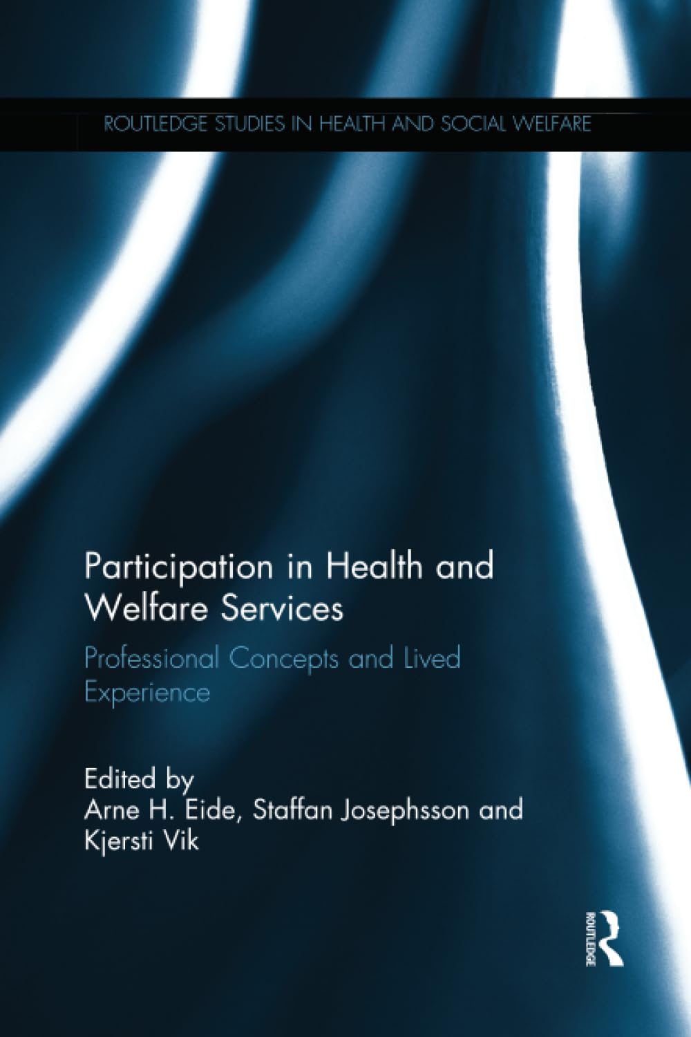 Participation in Health and Welfare Services: Professional Concepts and Lived Experience (Routledge Studies in Health and Social Welfare, 16, Band 16)