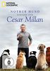 Notruf Hund - Einsatz für Cesar Millan [2 DVDs]