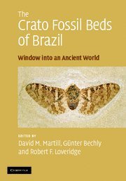 The Crato Fossil Beds of Brazil: Window into an Ancient World