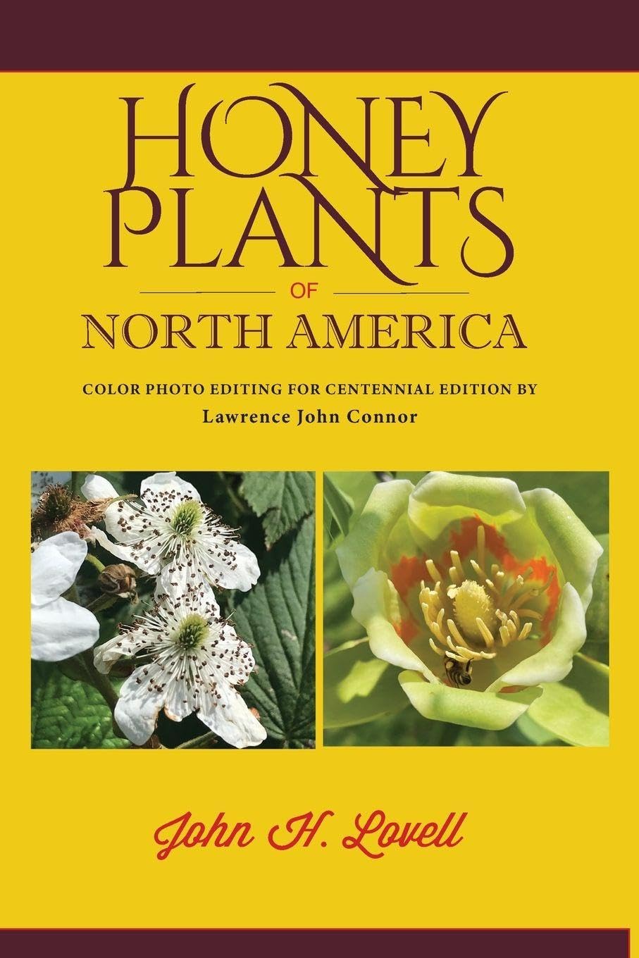 Honey Plants of North America (North of Mexico): A GUIDE TO THE BEST LOCATIONS FOR BEEKEEPING IN THE UNITED STATES