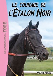 L'étalon noir. Vol. 13. Le courage de l'étalon noir