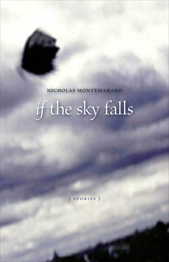 If the Sky Falls: Stories (Yellow Shoe Fiction Series)