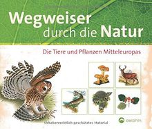 Wegweiser durch die Natur: Die Tiere und Pflanzen Mitteleuropas