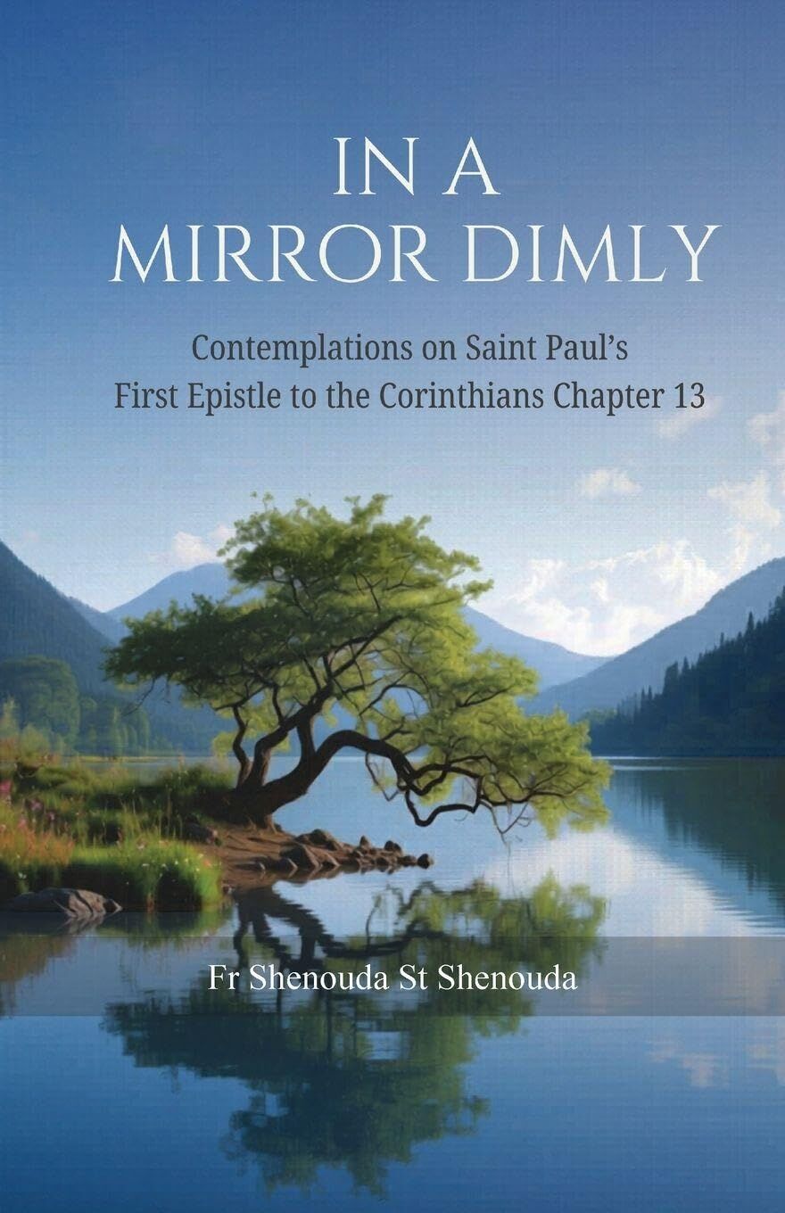 In a Mirror Dimly