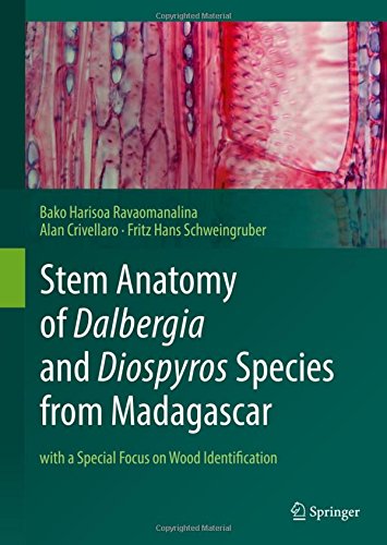 Stem Anatomy of Dalbergia and Diospyros Species from Madagascar: with a Special Focus on Wood Identification
