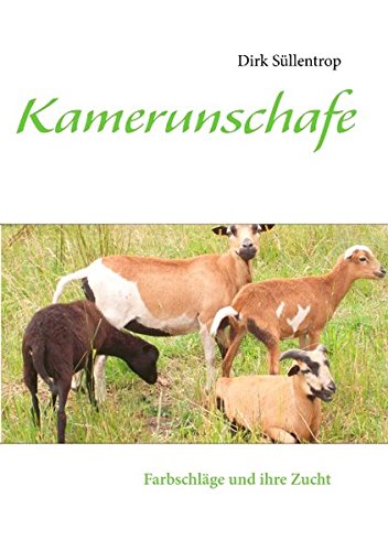 Kamerunschafe: Farbschläge und ihre Zucht