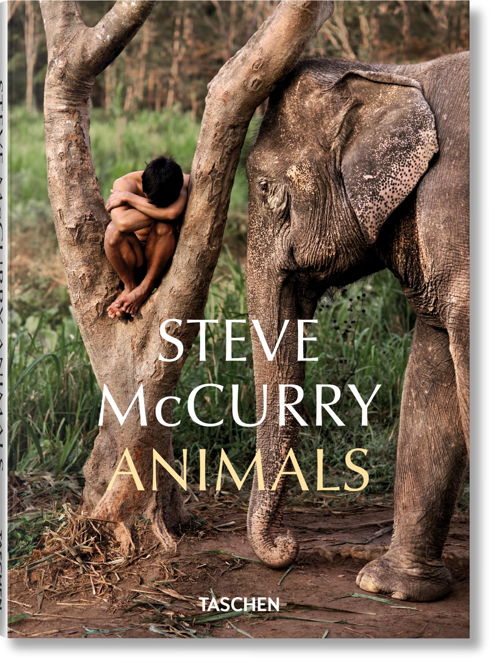 Steve McCurry Animals Gebunden