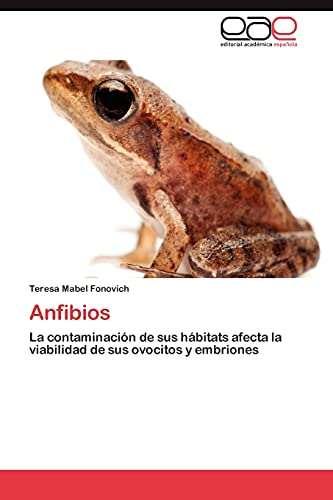 Anfibios: La contaminación de sus hábitats afecta la viabilidad de sus ovocitos y embriones