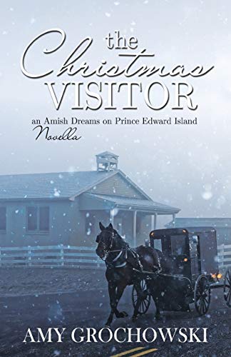 The Christmas Visitor: An Amish Dreams on Prince Edward Island Novella