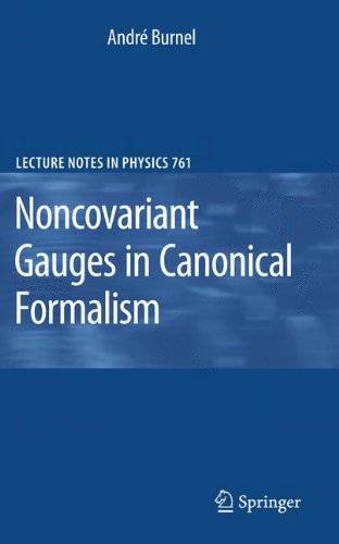 Noncovariant Gauges in Canonical Formalism (Lecture Notes in Physics)