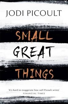 Small Great Things: 'To Kill a Mockingbird for the 21st Century'