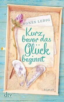 Kurz bevor das Glück beginnt: Roman