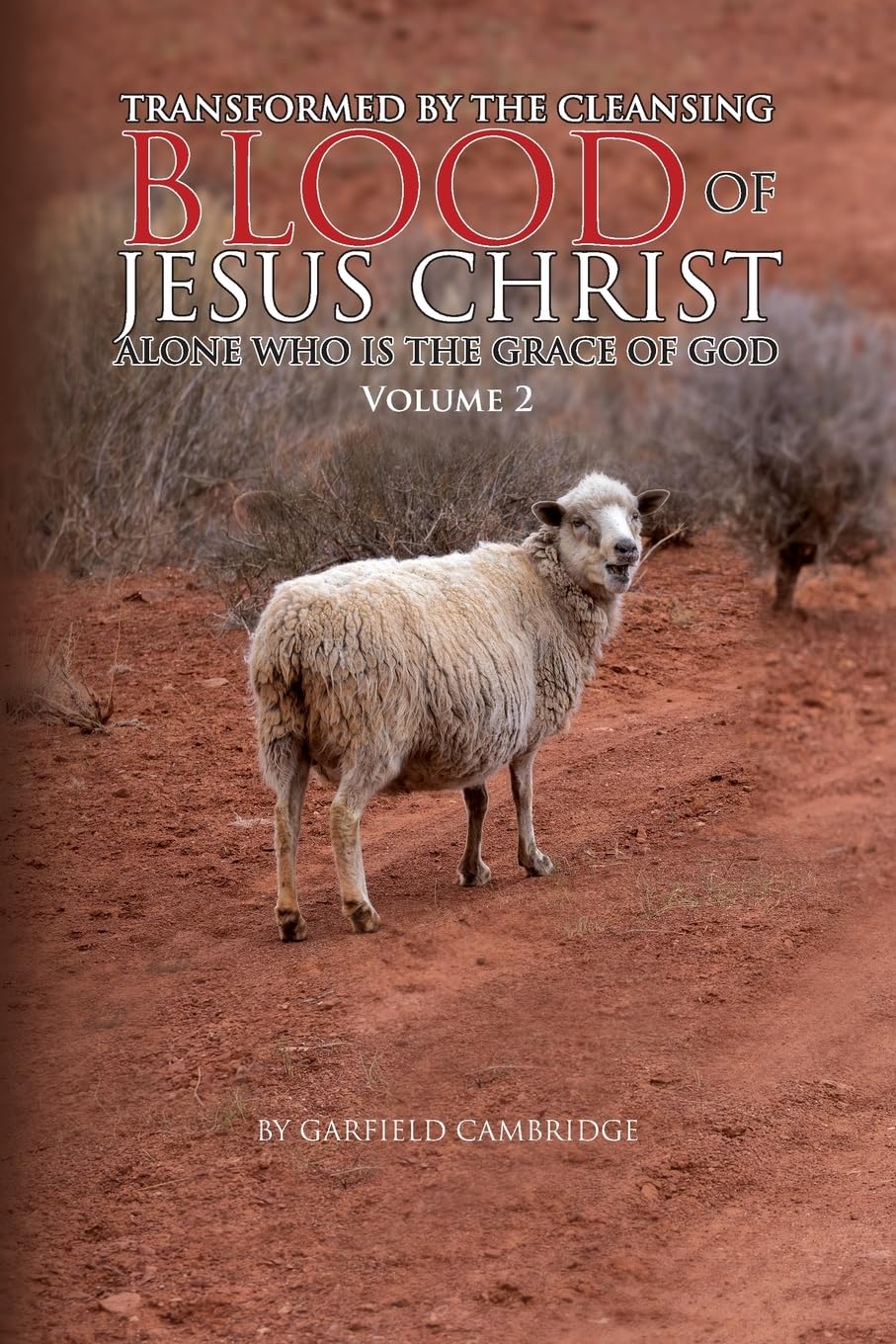Transformed by the Blood of Jesus Christ Alone, Who Is the Grace of God: Volume 2