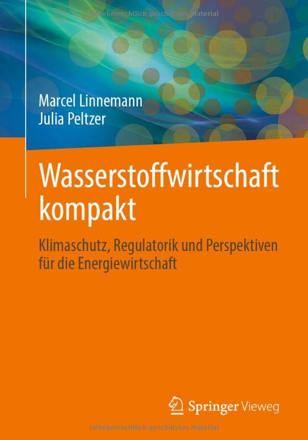 Wasserstoffwirtschaft kompakt: Klimaschutz, Regulatorik und Perspektiven für die Energiewirtschaft