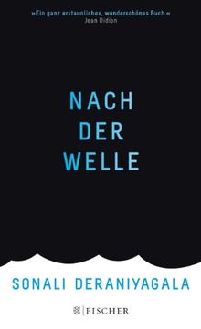 Nach der Welle: (gebundene Ausgabe)