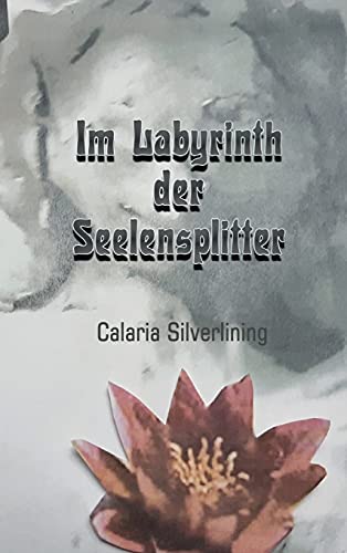 Im Labyrinth der Seelensplitter