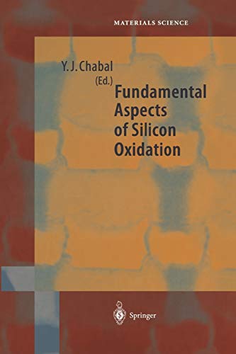 Fundamental Aspects of Silicon Oxidation (Springer Series in Materials Science, 46, Band 46)