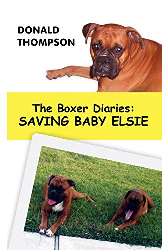 The Boxer Diaries: Saving Baby Elsie: Saving Baby Elsie