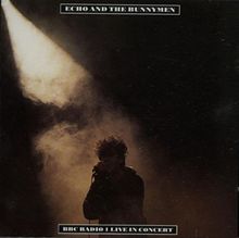 BBC Radio 1 in Concert [UK-Import] von Echo and the Bunnymen | CD | état bon