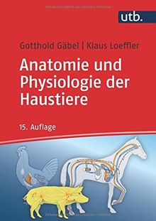 Anatomie und Physiologie der Haustiere