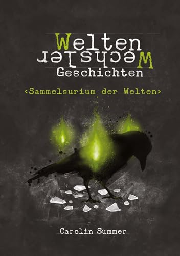 Sammelsurium der Welten (WeltenWechsler Geschichten: Auskopplung zur WeltenWechsler-Akten-Tetralogie)