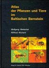 Atlas der Pflanzen und Tiere im Baltischen Bernstein