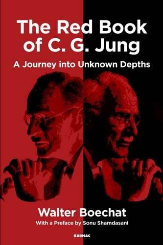 Walter Boechat The Red Book Of C.G. Jung, A Journey Into Unknown Depths