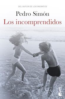Los incomprendidos (Novela)